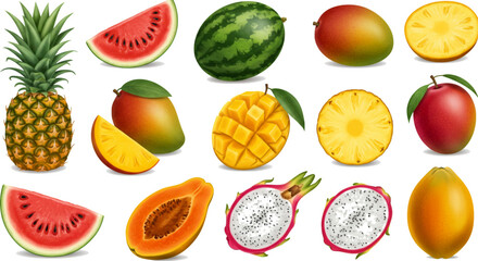 Flat lay vector illustration of summer fruits ; watermelon, mango, pineapple, papaya, and dragon fruit, with cut and whole variations
