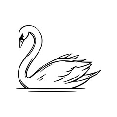 graceful swan illustration