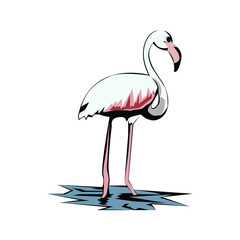 Greater flamingo design template