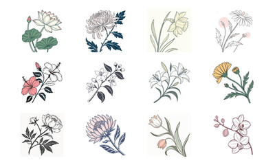 Elegant vector illustrations of twelve diverse floral arrangements and botanical elements