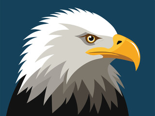 Fototapeta premium american bald eagle vector illustration