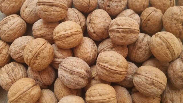 Whole unshelled walnuts in close-up. Natural brown texture of walnut shells. Raw food and organic harvest concept. 