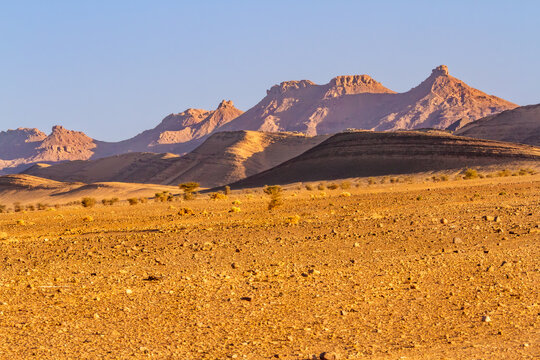 Dry flat stony desert called hamada at golden hour. Hamada desert near the town of Ouarzazate, Morocco