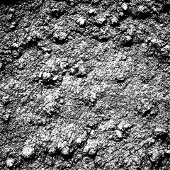 Soil texture