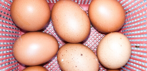 easter eggs in a basket