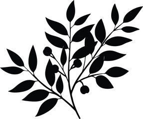  eucalyptus sprig arrangement silhouette, black and white floral background