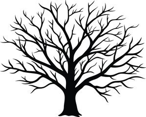 Obraz premium Bare Winter Tree Branches Silhouette, Leafless Tree Seasonal Design