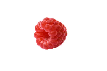 One berry. One fresh raspberry fruit, highlighted on a white background
