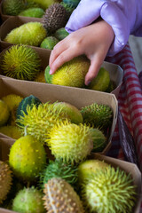Green autumn crop in the market. Childs hand is picking a green vegetable