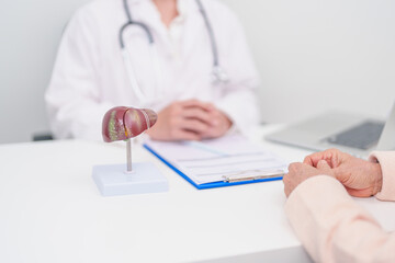Doctor with human Liver anatomy. Elderly Patient consultation medical health for Liver cancer and Tumor, Jaundice, Viral Hepatitis, Cirrhosis, Failure, Enlarged, Hepatic Encephalopathy, Ascites Fluid