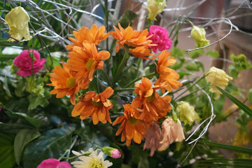 Colorful floral arrangement with orange daisy-like flowers, pink and white roses, and green foliage...