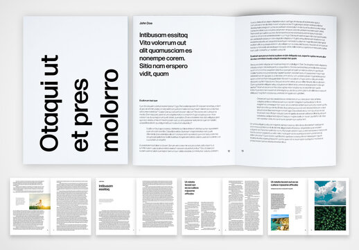 Professional Report Template