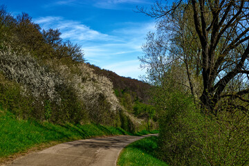 a beautiful day in the ancient town of Dollnstein