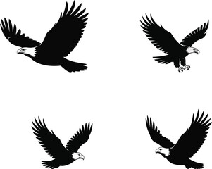 Fototapeta premium Four bald eagle silhouettes in flight with wings spread on a white background in various positions