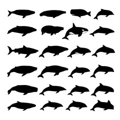 Obraz premium set of silhouette whale icons vector art