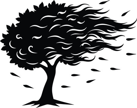  windy tree in storm silhouette