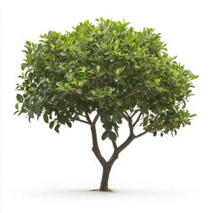 Obraz premium Tree as Symbol of Nature's Resilience Standing Tall and Strong