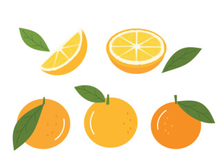 Set of orange fruit with green leaves icon sign isolated on white background vector.