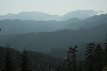 fog in the mountains