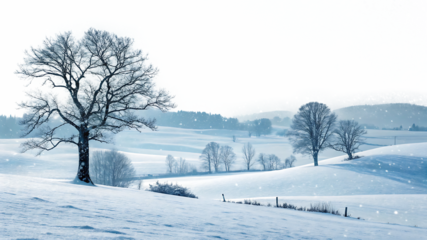 Snowy Winter Landscape with Bare Trees Rolling Hills and Falling Snow A I G E N E R A T E D - P N G isolated on a transparent background