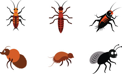 insect color vector illustration