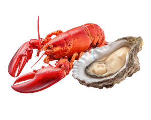 Lobster oyster seafood shellfish crustacean mollusk gourmet fresh isolated transparency background culinary delicacy cooked raw marine ocean appetizer luxury protein nutrition healthy dinner lunch