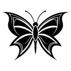 Butterfly with sharp wing patterns isolated on white background