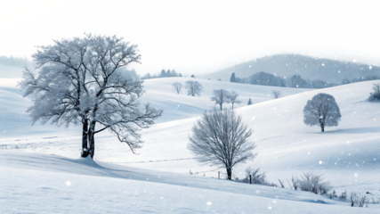 Snowy Winter Landscape with Frosty Trees Rolling Hills and Falling Snow A I G E N E R A T E D - P N G isolated on a transparent background