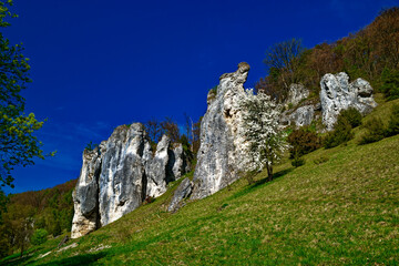 a beautiful day in the ancient town of Dollnstein