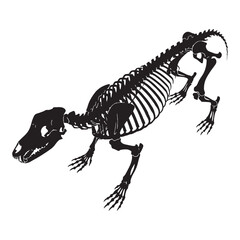 The skeletal grace of an apex carnivore – Dire wolf skeleton silhouette in linear Dire wolf skeleton vector – Dire wolf skeleton illustration

