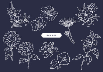 夏の花のシンプル白線イラスト