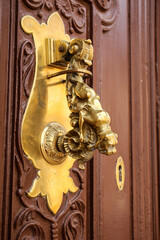 Vintage doorknocker dog shape on old wooden door