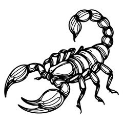 scorpion vector illustration