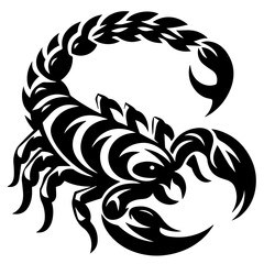 scorpion vector illustration