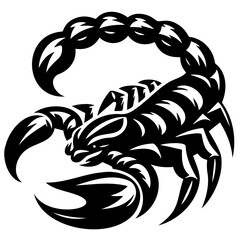 scorpion vector illustration