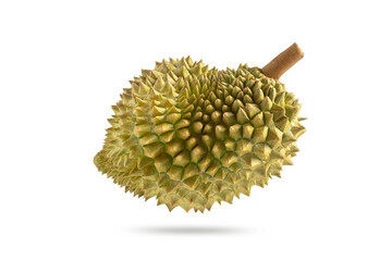 Fresh durian on white background. Durian fruit isolated on white with clipping path.