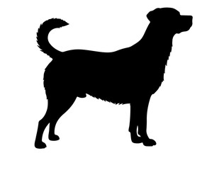 Dog silhouette vector image.