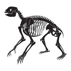 Art and anatomy combined – Giant sloth skeleton silhouette displayed with accurate Giant sloth skeleton vector – Giant sloth skeleton illustration   © Vectorhub