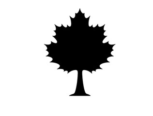 Black pine tree icon vertical shape in silhouette image white background.
