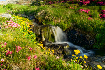 waterfall in the mountain, Iezer Valley, Iezer Mountains, Romania 