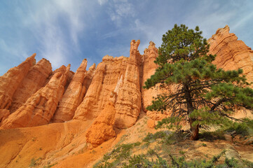 Bryce Canyon National Park located in southwestern Utah, USA