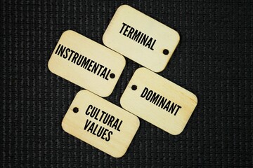 What are the 4 types of values? There are four types of values: terminal, instrumental, dominant,...