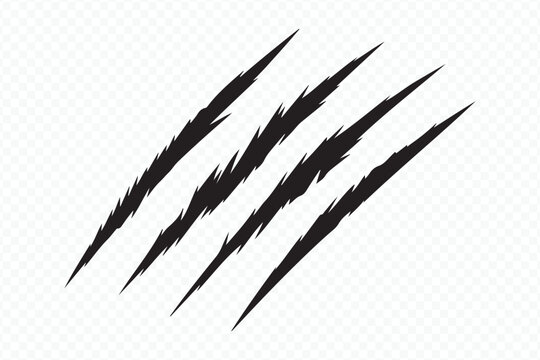 realistic animal claw marks vector illustration with jagged torn scratch effect