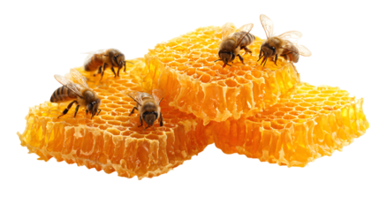 Three bees are hovering over a honeycomb
