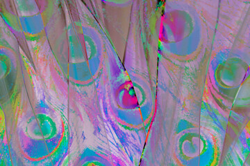 Reference Image, Pfau grafisch