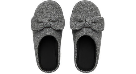 Isolated Pair of Bow Slippers