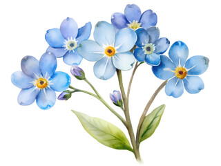 Naklejka premium Delicate Watercolor Blue Forget Me Nots Bouquet