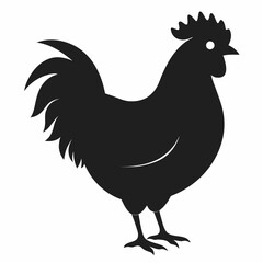 cock and chicken