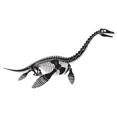Naklejka premium Art of the underwater giant – Plesiosaurus skeleton silhouette rendered with flowing Plesiosaurus skeleton vector – Plesiosaurus skeleton illustration