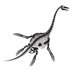 Curved neck and ancient bones – Plesiosaurus skeleton silhouette in stylized Plesiosaurus skeleton vector – Plesiosaurus skeleton illustration

